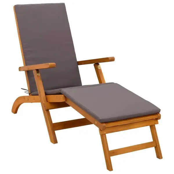 vidaXL Reclining och Fällbar Solstol 55 x 146 x 91 cm Kampanj